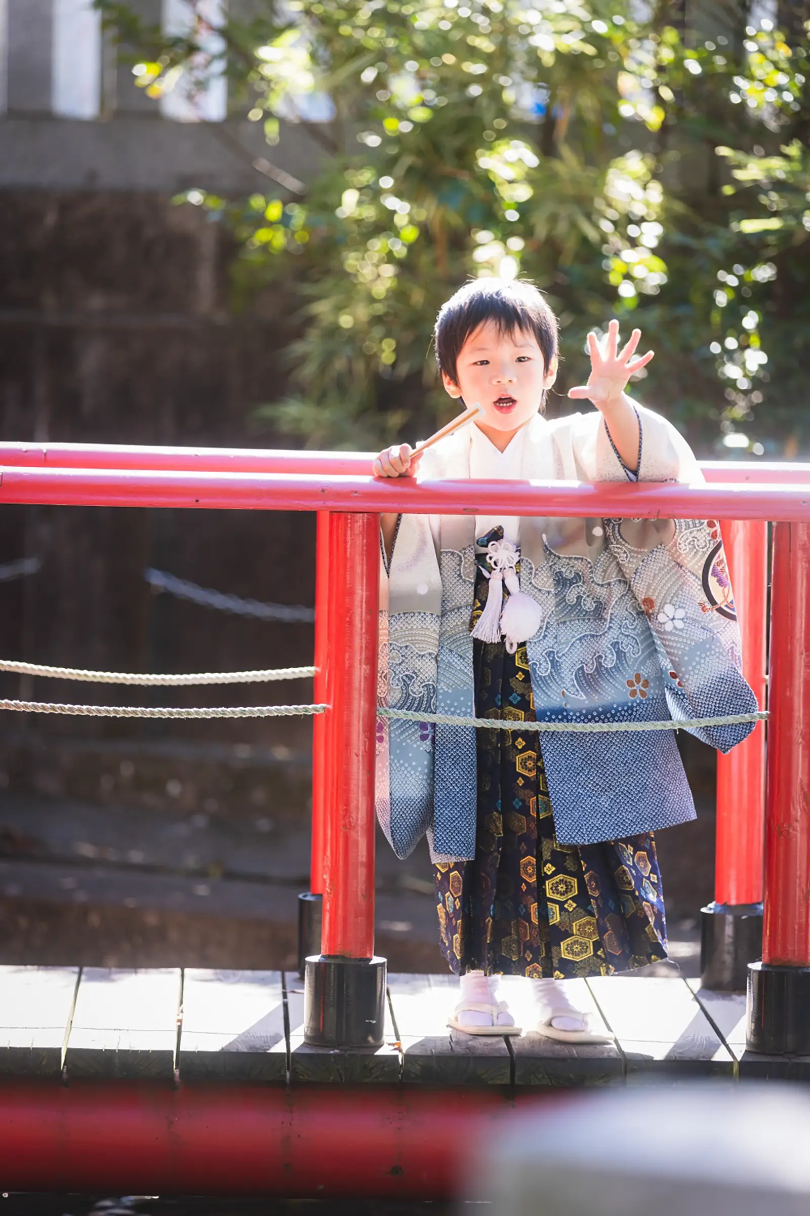 六所神社の朱塗りの太鼓橋の上で片手を挙げる5歳の男の子、生成りの羽織袴の七五三撮影（大磯）