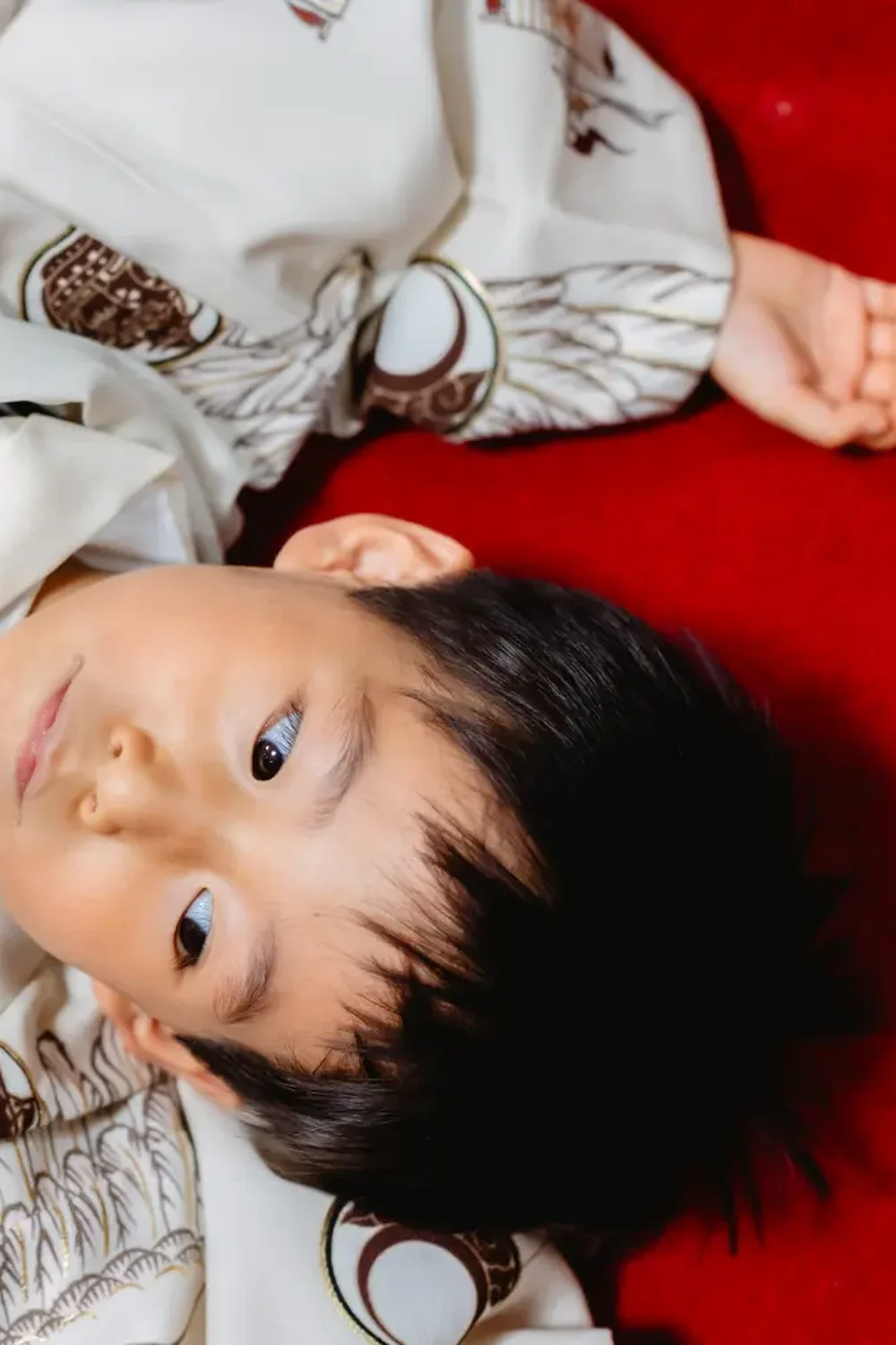 赤い絨毯に仰向けに寝そべってカメラを見上げる、生成りの羽織袴の男の子を真上から撮った七五三出張撮影（六所神社・大磯）