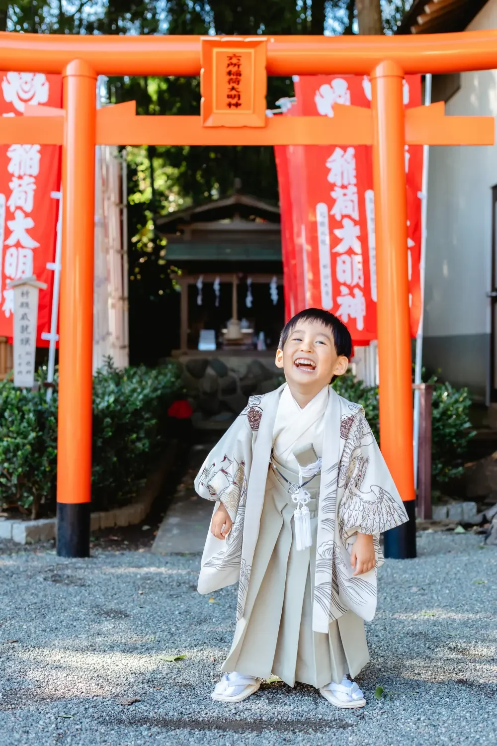 朱い鳥居とのぼり旗を背に口を大きく開けて笑う、生成りの羽織袴の男の子の七五三出張撮影（六所神社・大磯）