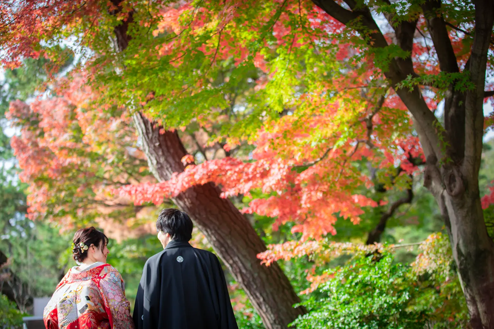 横浜の三溪園で紅葉を眺める和装姿の新郎新婦の後ろ姿