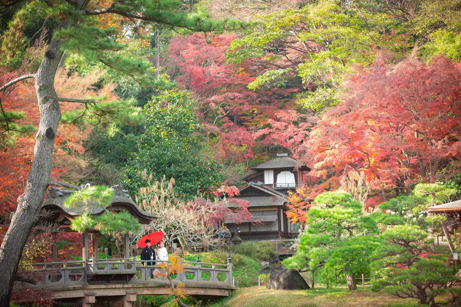 横浜の三溪園で紅葉に包まれた庭園の橋に立つ和装姿の新郎新婦