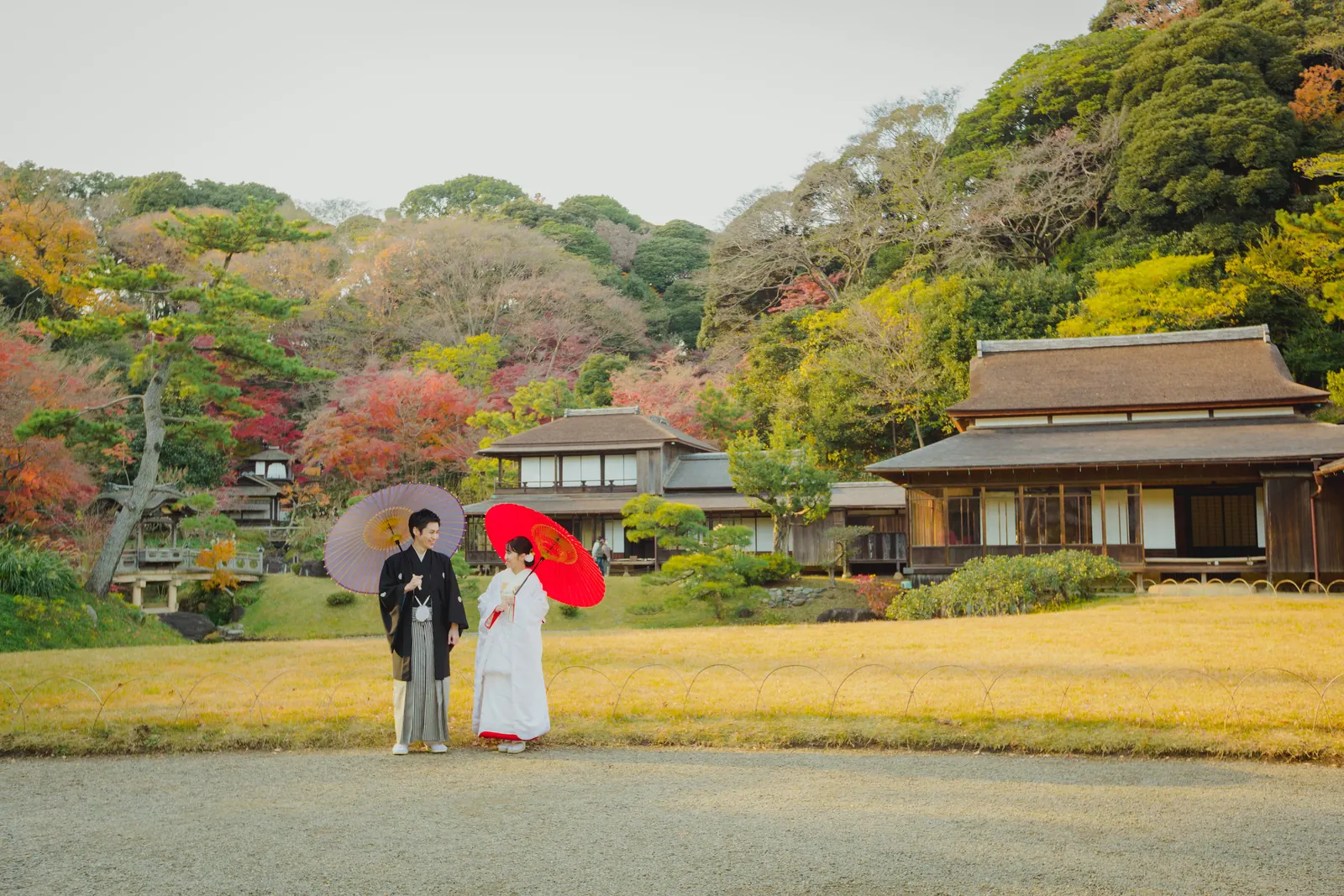 三溪園の茅葺屋根の古民家と紅葉の丘を背景に、広い芝地で赤い和傘を差して立つ白無垢と紋付袴のふたりの遠景