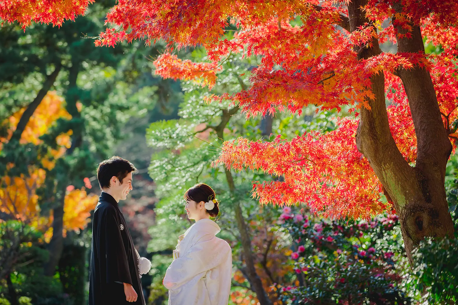 横浜の三溪園で紅葉の中、白無垢姿で向かい合う新郎新婦の和装前撮り写真