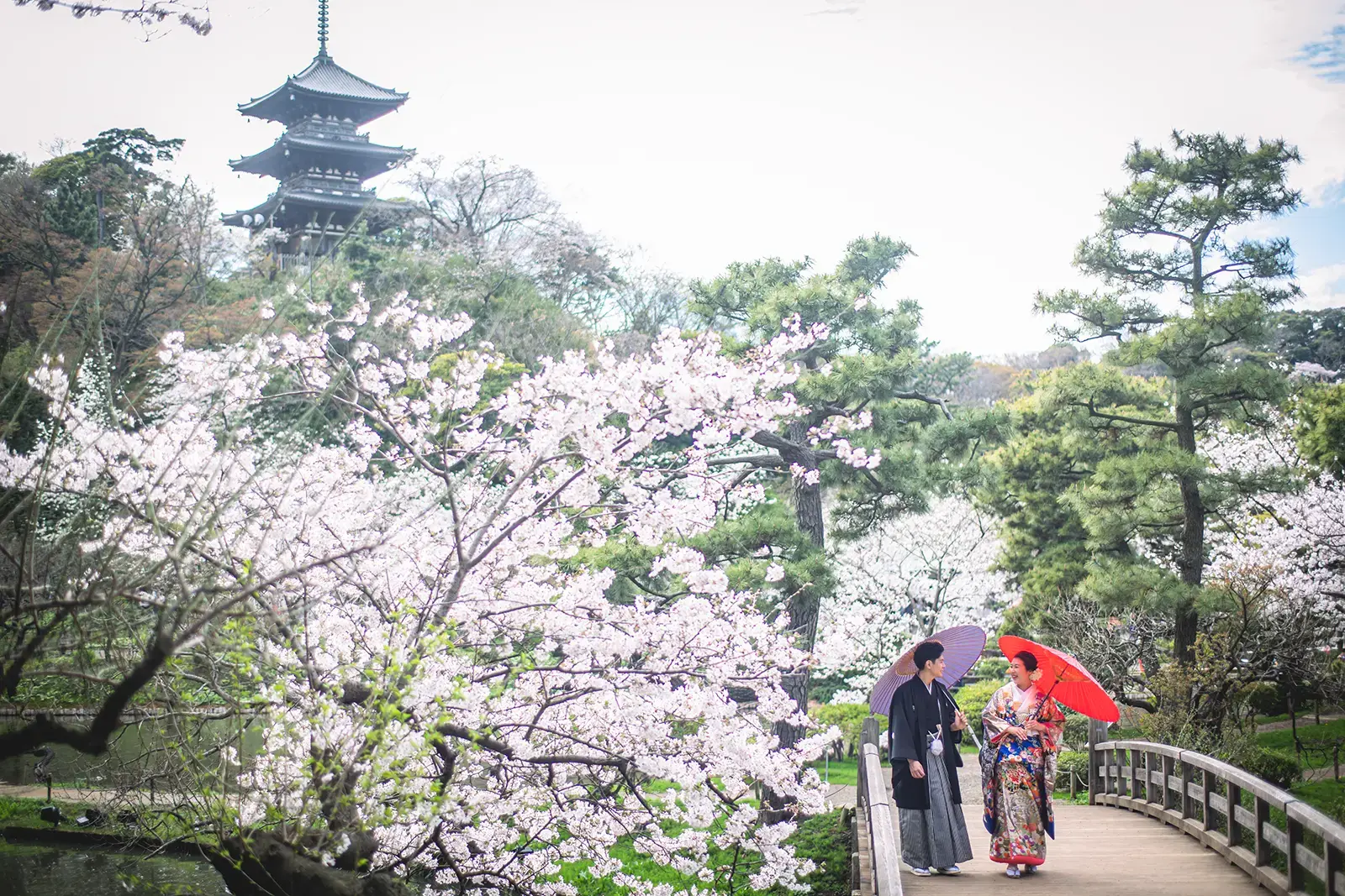 横浜の三溪園で桜と五重塔を背景に橋を歩く和装姿の新郎新婦