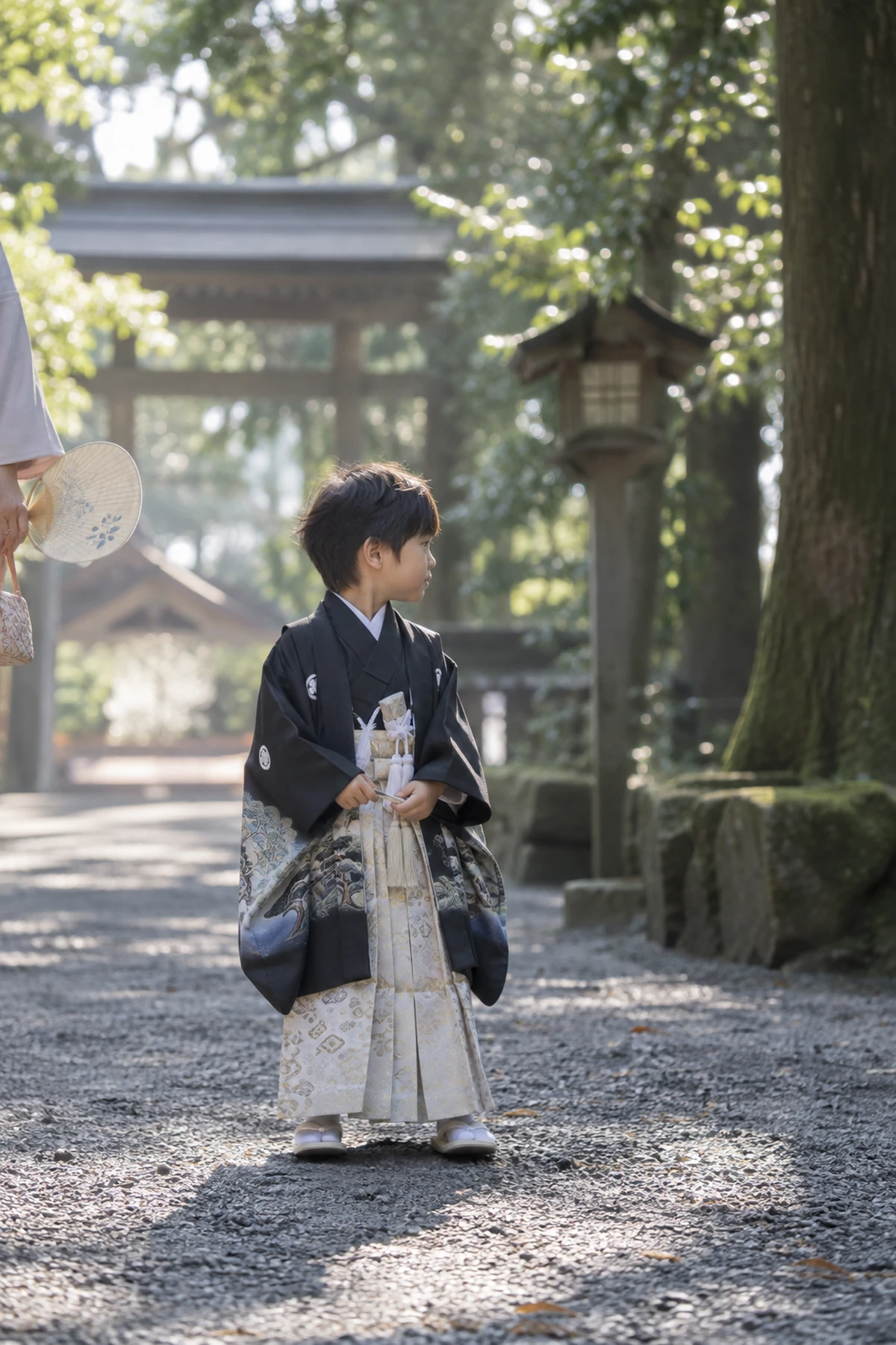 夏の七五三前撮り｜朝の木陰で撮影する