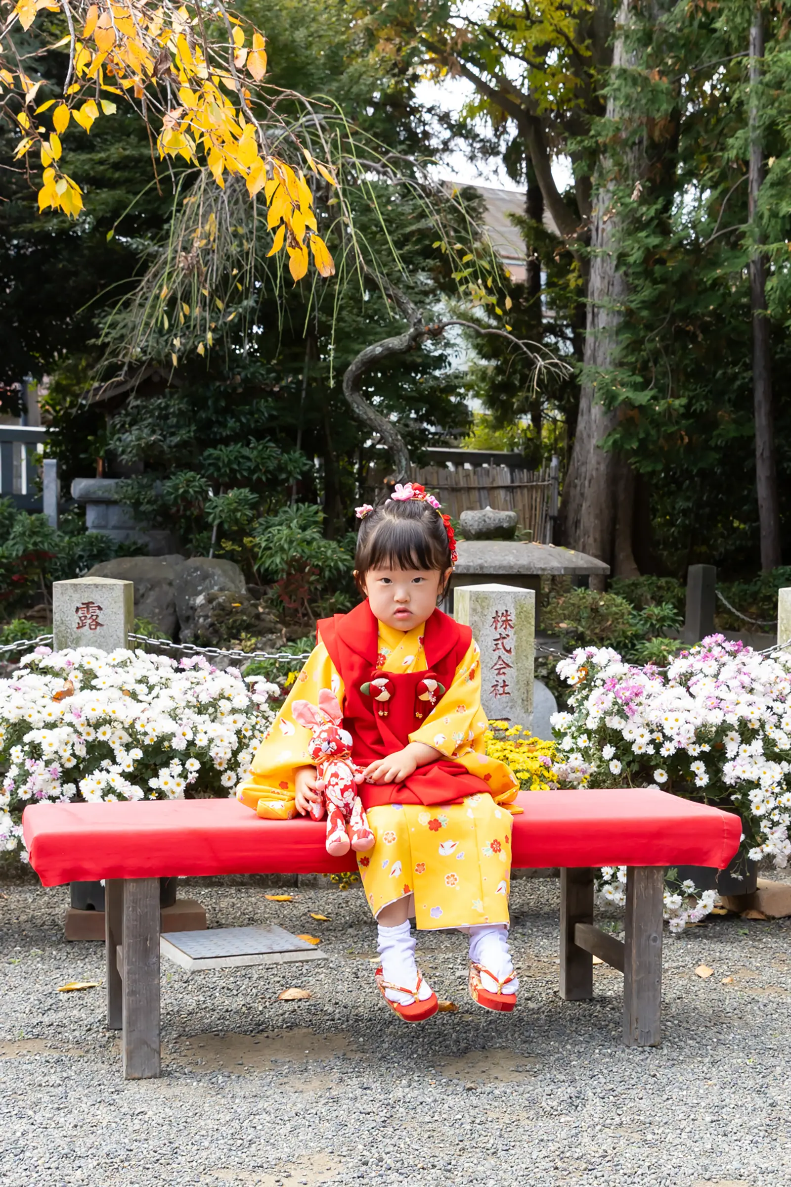 赤い縁台にうさぎのお人形と座る被布姿の3歳の女の子｜六所神社の七五三｜フォトジェリッシュ