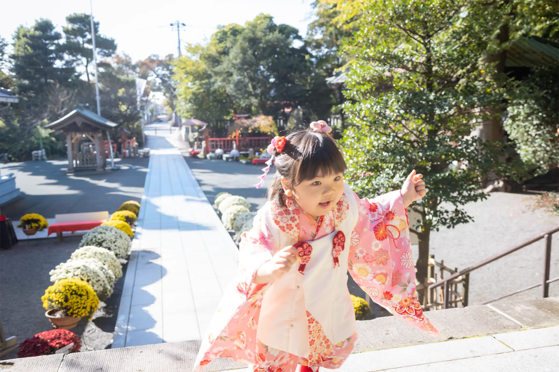 六所神社の石段を駆け上がる被布姿の3歳の女の子｜七五三スナップ｜フォトジェリッシュ