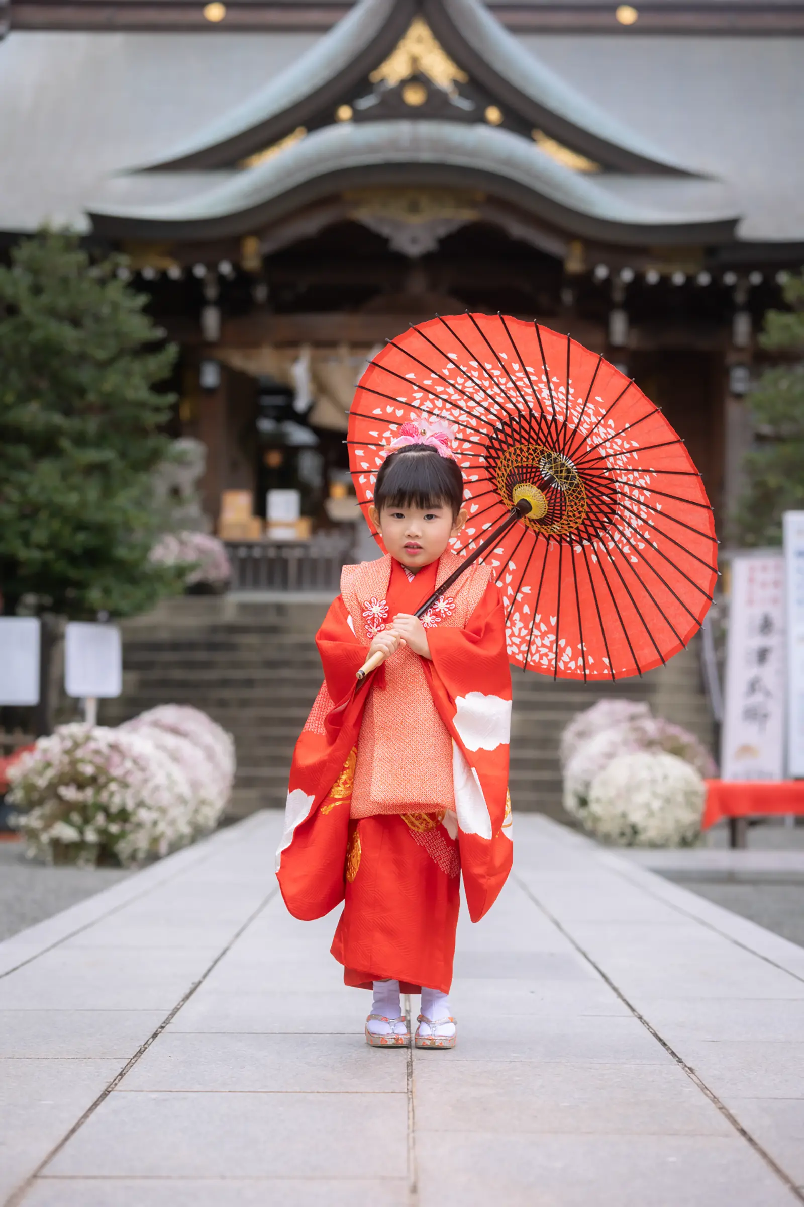桜柄の和傘を差して六所神社の御社殿前に立つ被布姿の3歳の女の子｜七五三｜フォトジェリッシュ