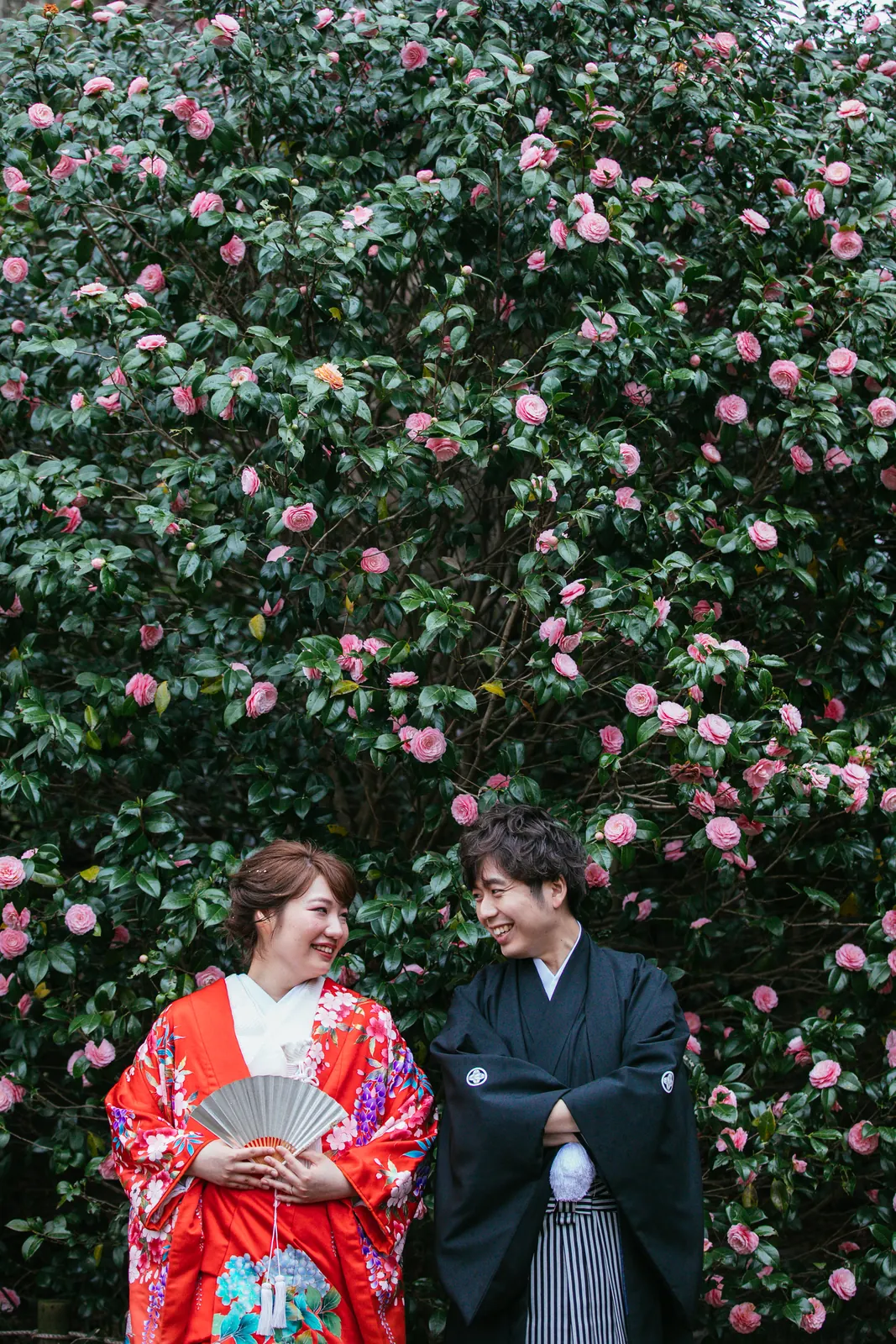 称名寺の境内、ピンクの椿が咲く木を背に見つめ合う赤い色打掛の花嫁と紋付袴の新郎