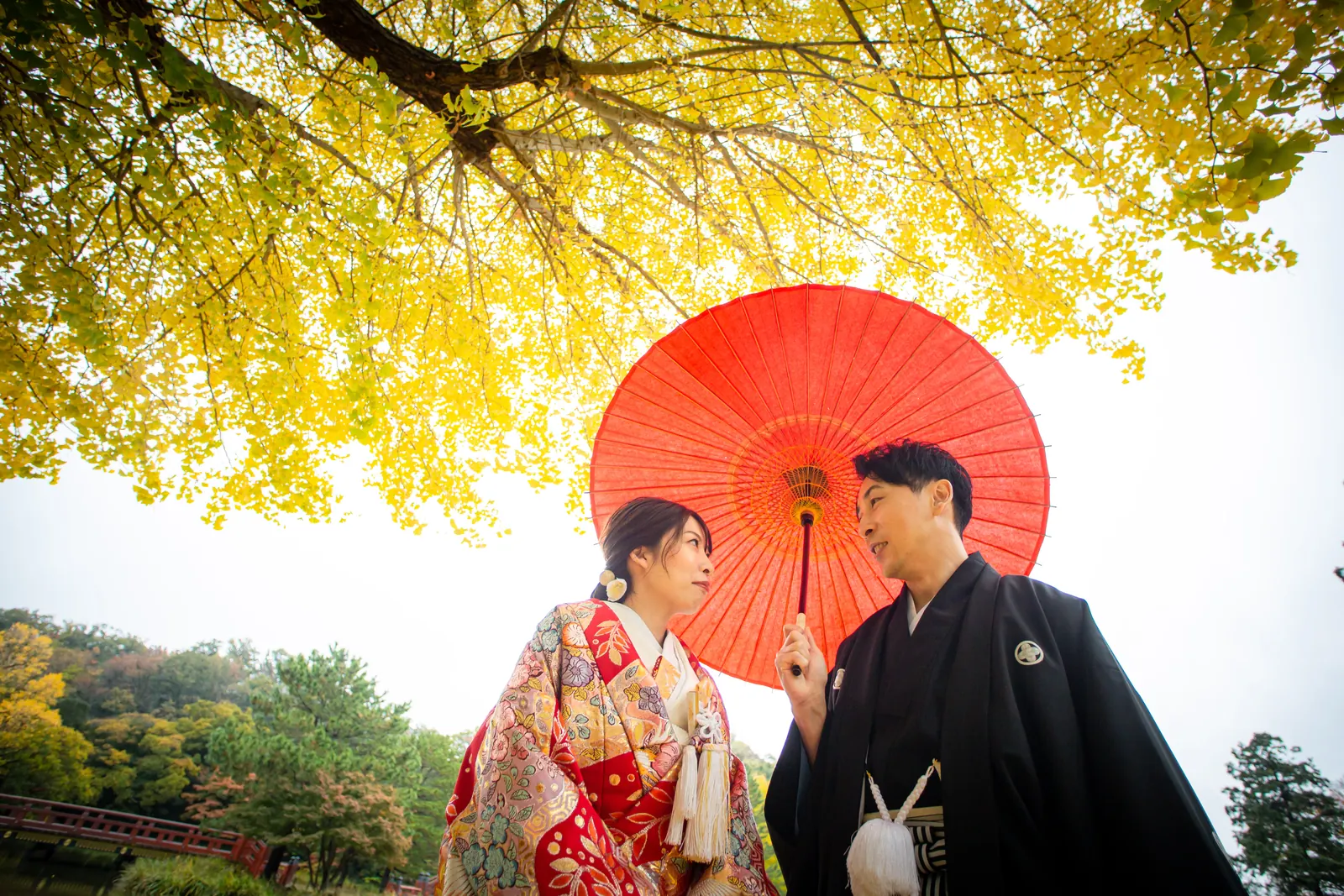称名寺の大イチョウの黄葉の下、赤い和傘を差して見つめ合う赤い色打掛の花嫁と紋付袴の新郎