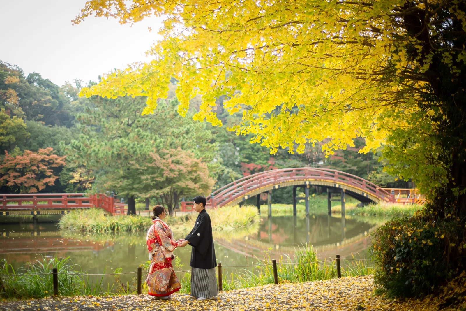 称名寺の黄葉した大イチョウの枝の下、朱塗りの橋を背景に向かい合う色打掛の花嫁と紋付袴の新郎