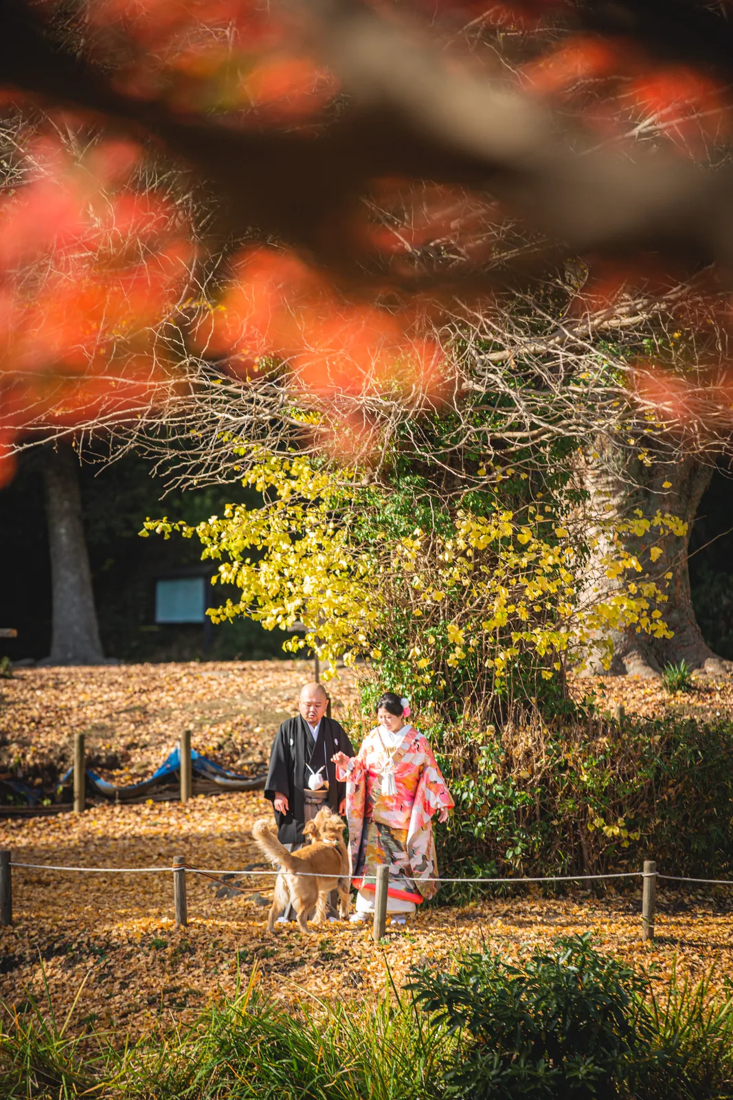 称名寺の紅葉と黄葉に包まれた境内で、和装のふたりがゴールデンレトリバーを連れて立っている