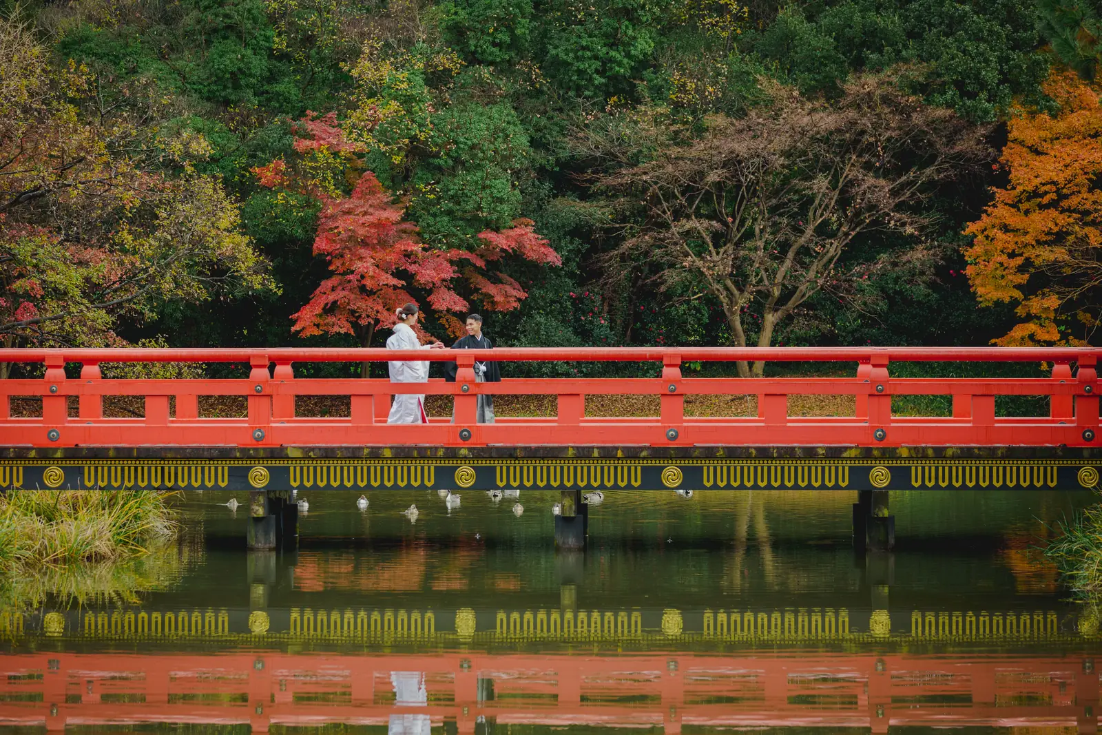 称名寺の朱塗りの橋の上に立つ白無垢と紋付袴のふたりと、水面に映る紅葉