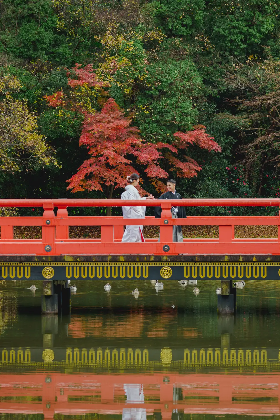 称名寺の朱塗りの橋の上で向かい合う白無垢と紋付袴のふたり。背後に色づいたもみじ、水面に橋と紅葉の反射
