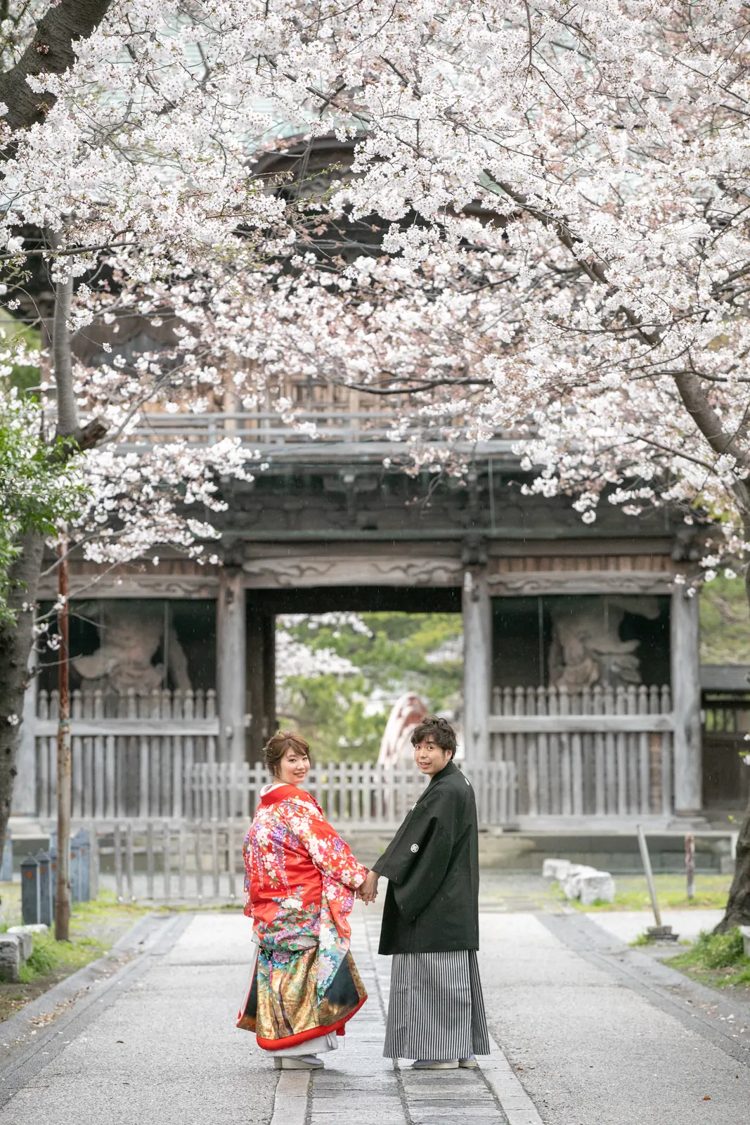 称名寺の満開の桜が枝を伸ばす山門の下に立つ、赤い色打掛の花嫁と紋付袴の新郎