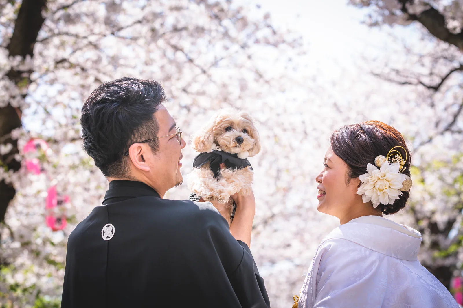 称名寺の桜を背に、紋付袴の新郎がトイプードルを抱き上げ、白無垢の新婦と笑い合っている