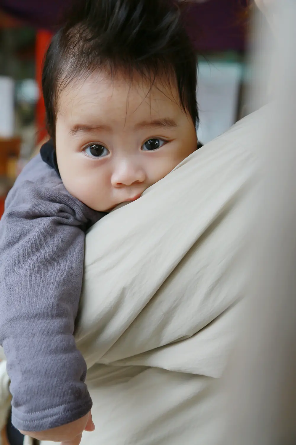 抱っこひもで抱かれ、肩越しにこちらを見つめる下のお子さんの顔アップ、姉の七五三の日（相州春日神社・横浜）