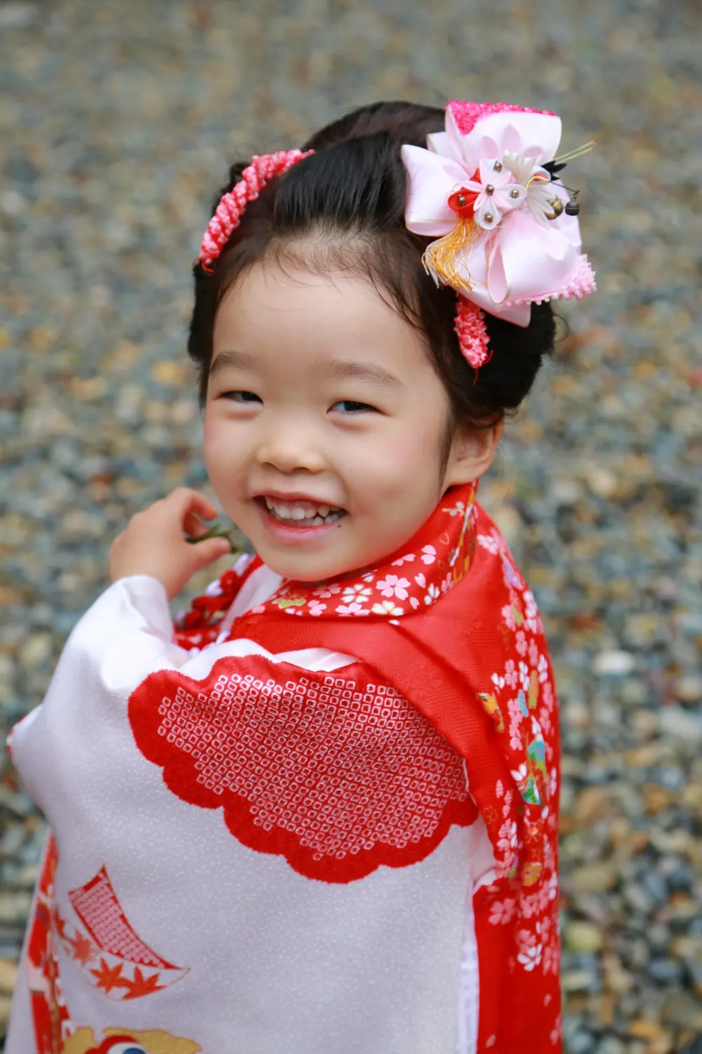 肩越しに振り返って笑う3歳の女の子、日本髪風の結い上げに赤い鹿の子と大きなピンクのリボンの七五三（相州春日神社・横浜）