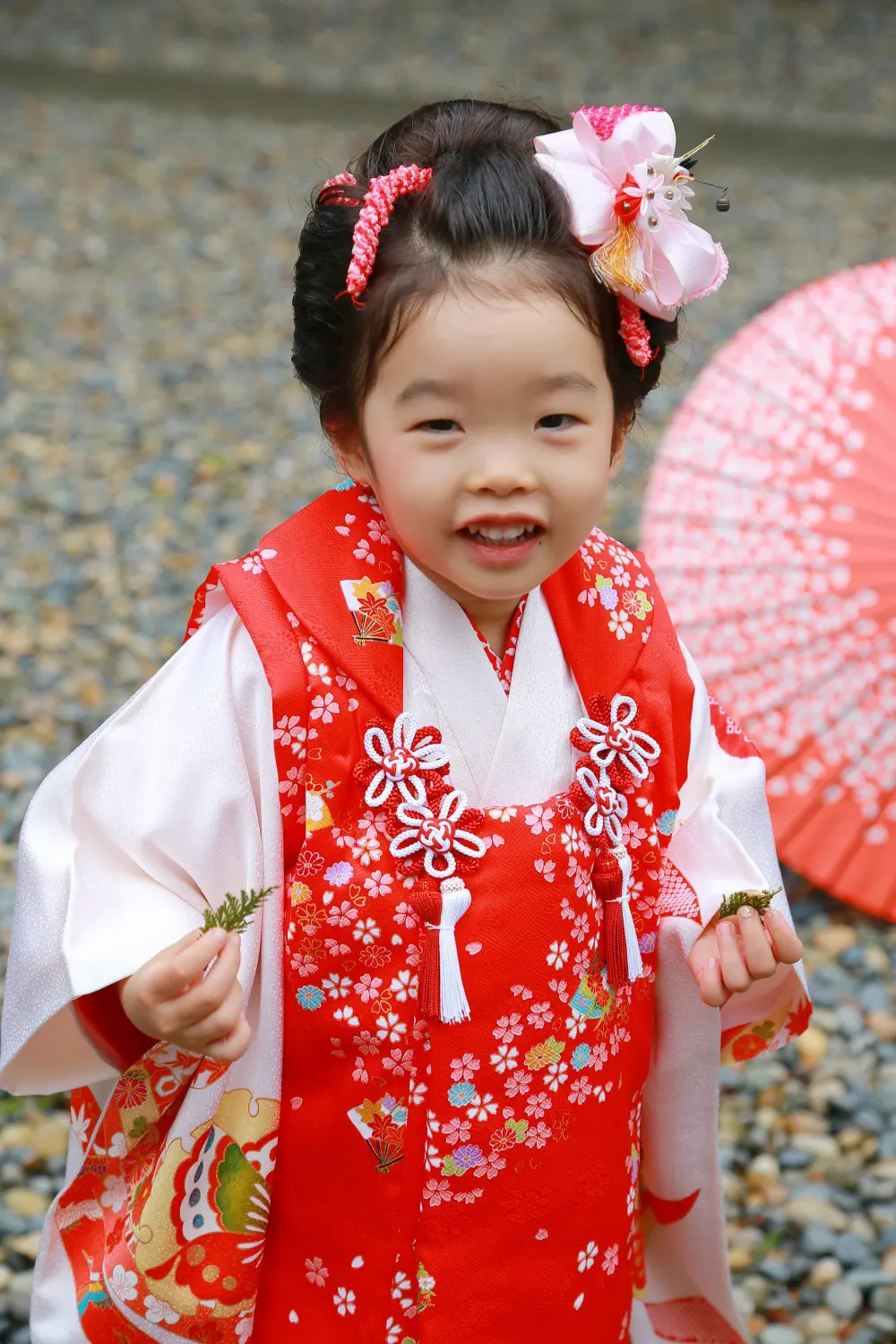 境内で拾った小さな葉を両手に持ち、にっこり笑う赤い被布姿の3歳の女の子、七五三（相州春日神社・横浜市戸塚区）