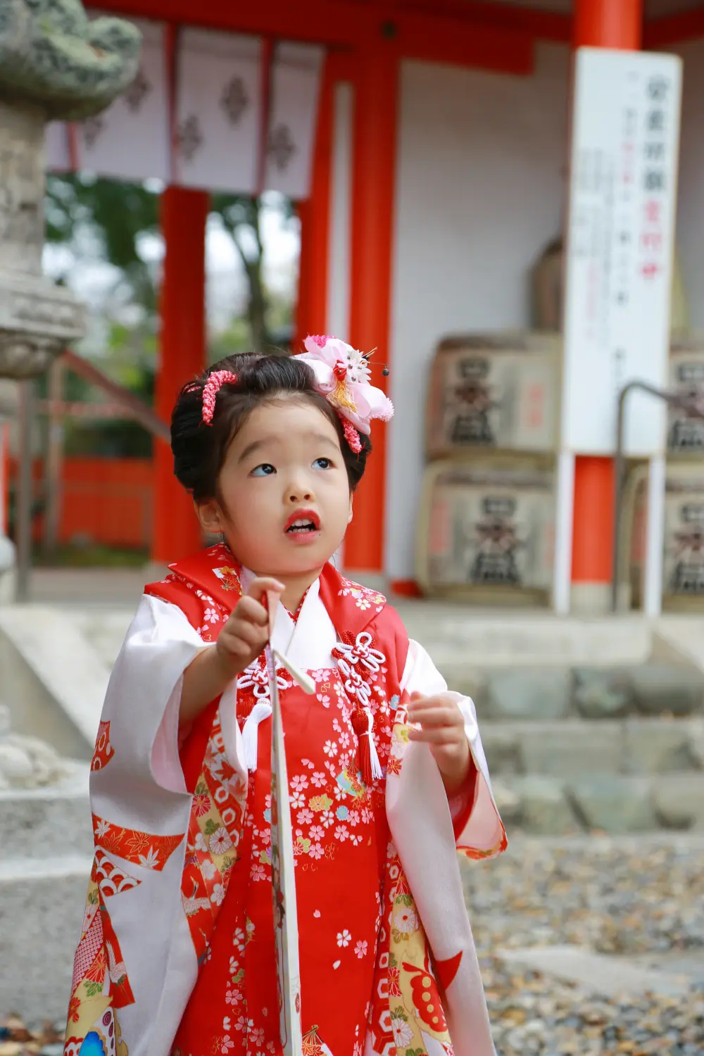 細い棒状のものを両手で持ち、口を開けて見上げる赤い被布姿の3歳の女の子、七五三（相州春日神社・横浜市戸塚区）