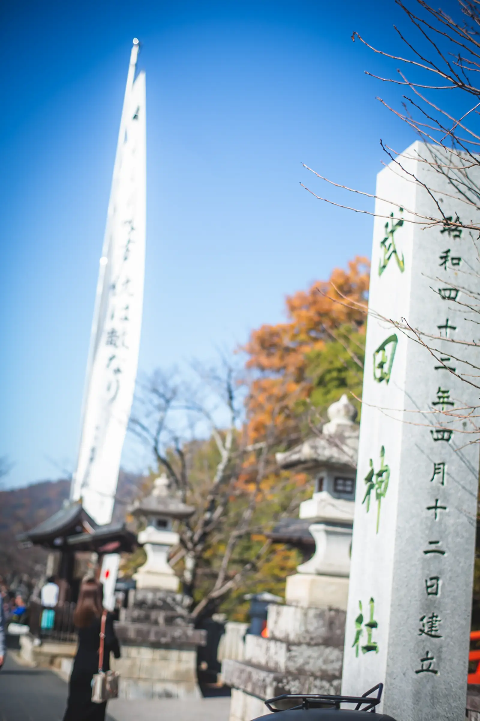 「武田神社」の社号標と色づいた紅葉、青空を見上げた一枚。七五三出張撮影（山梨県甲府市）