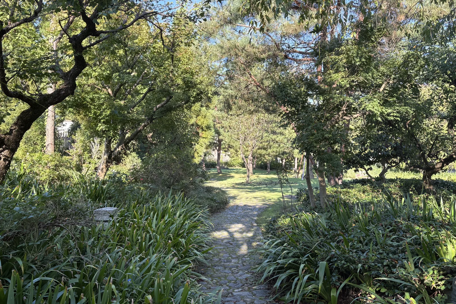 富山城址公園の庭園の小径