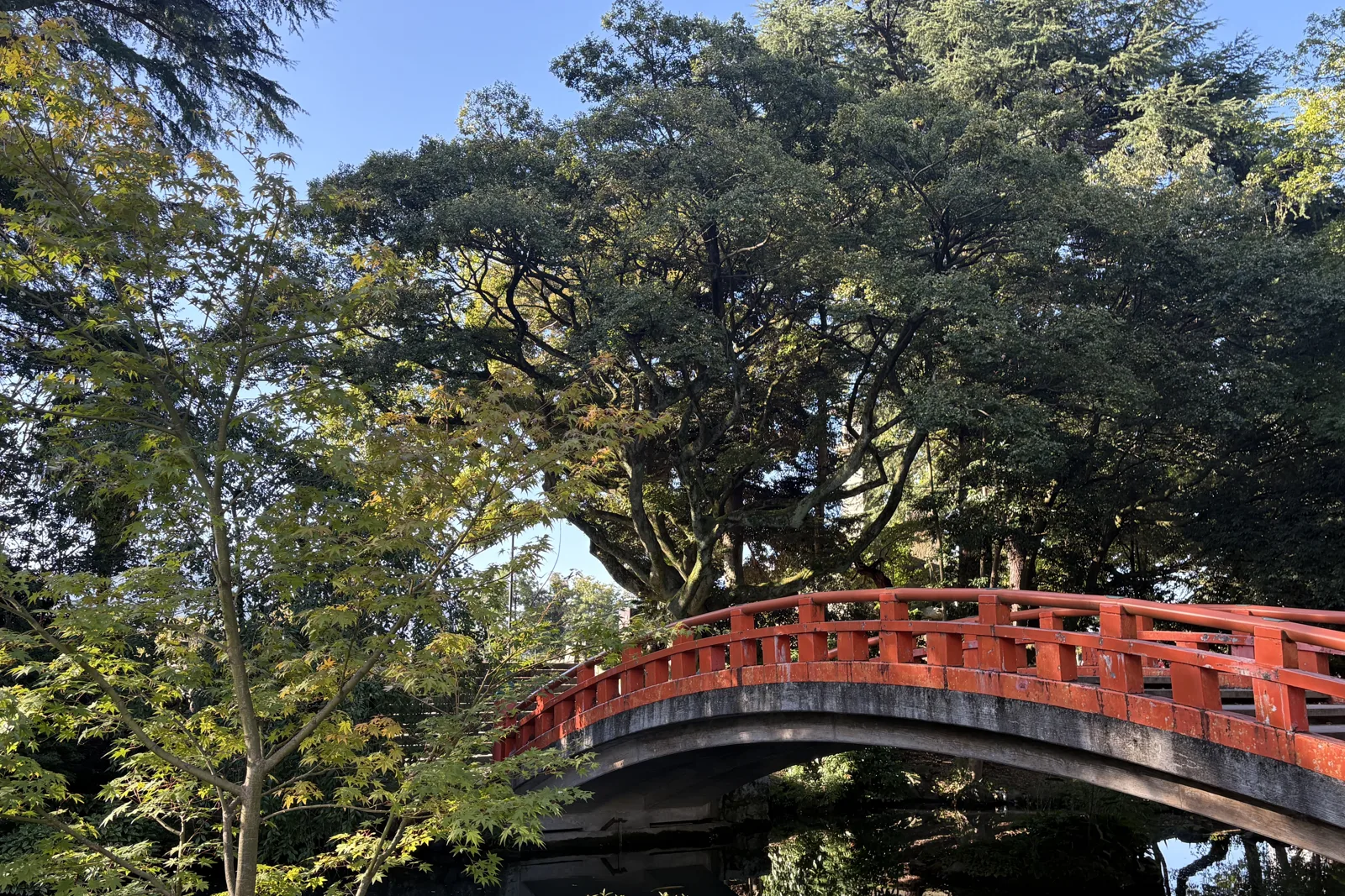 富山城址公園の朱い橋を横から