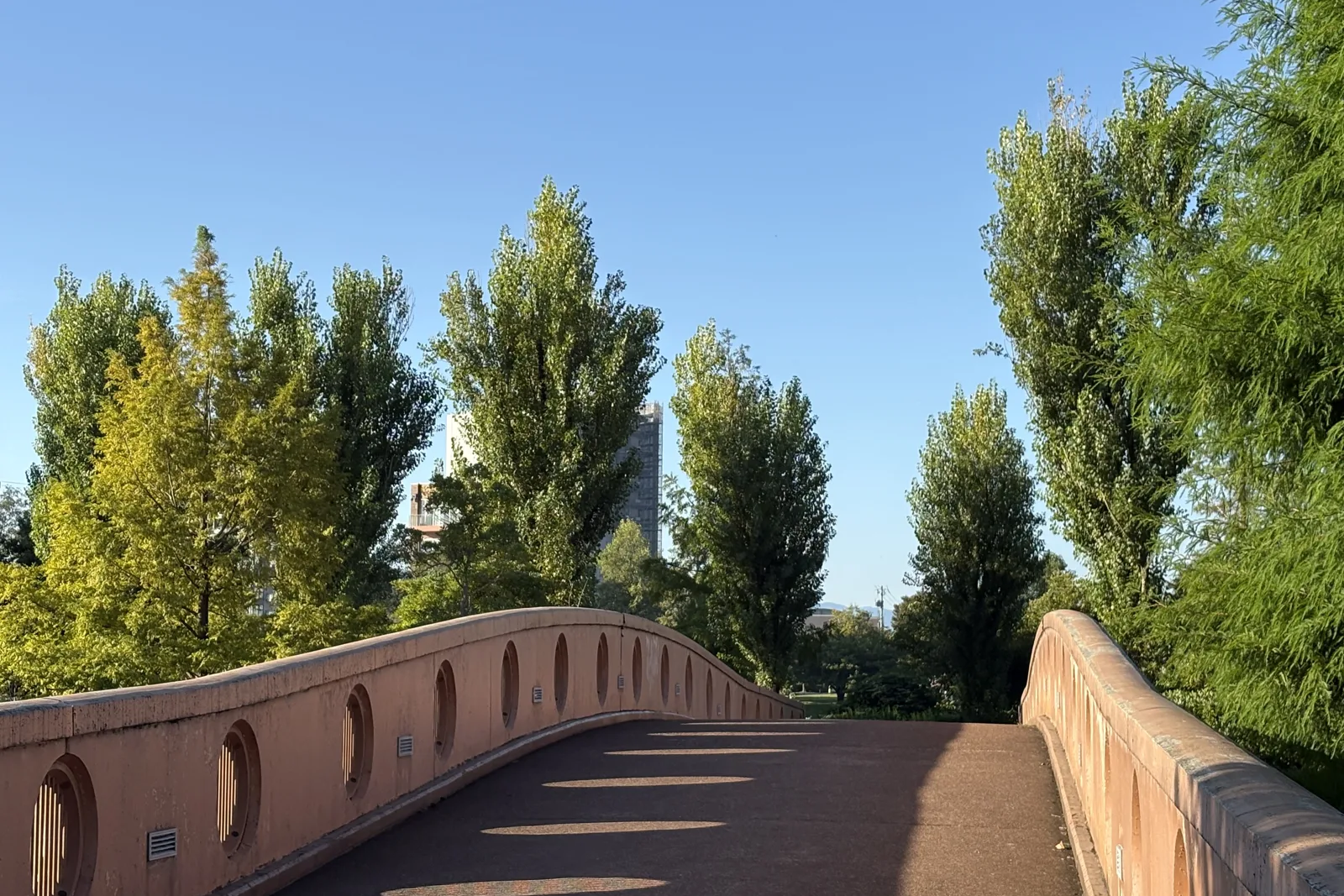 環水公園の橋の上からポプラ並木を望む