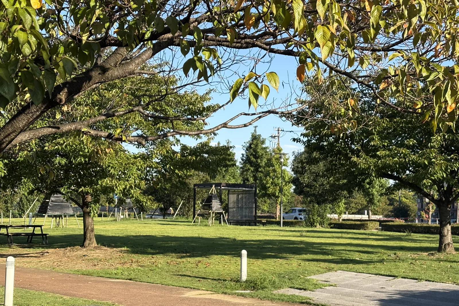 環水公園の芝生と木陰
