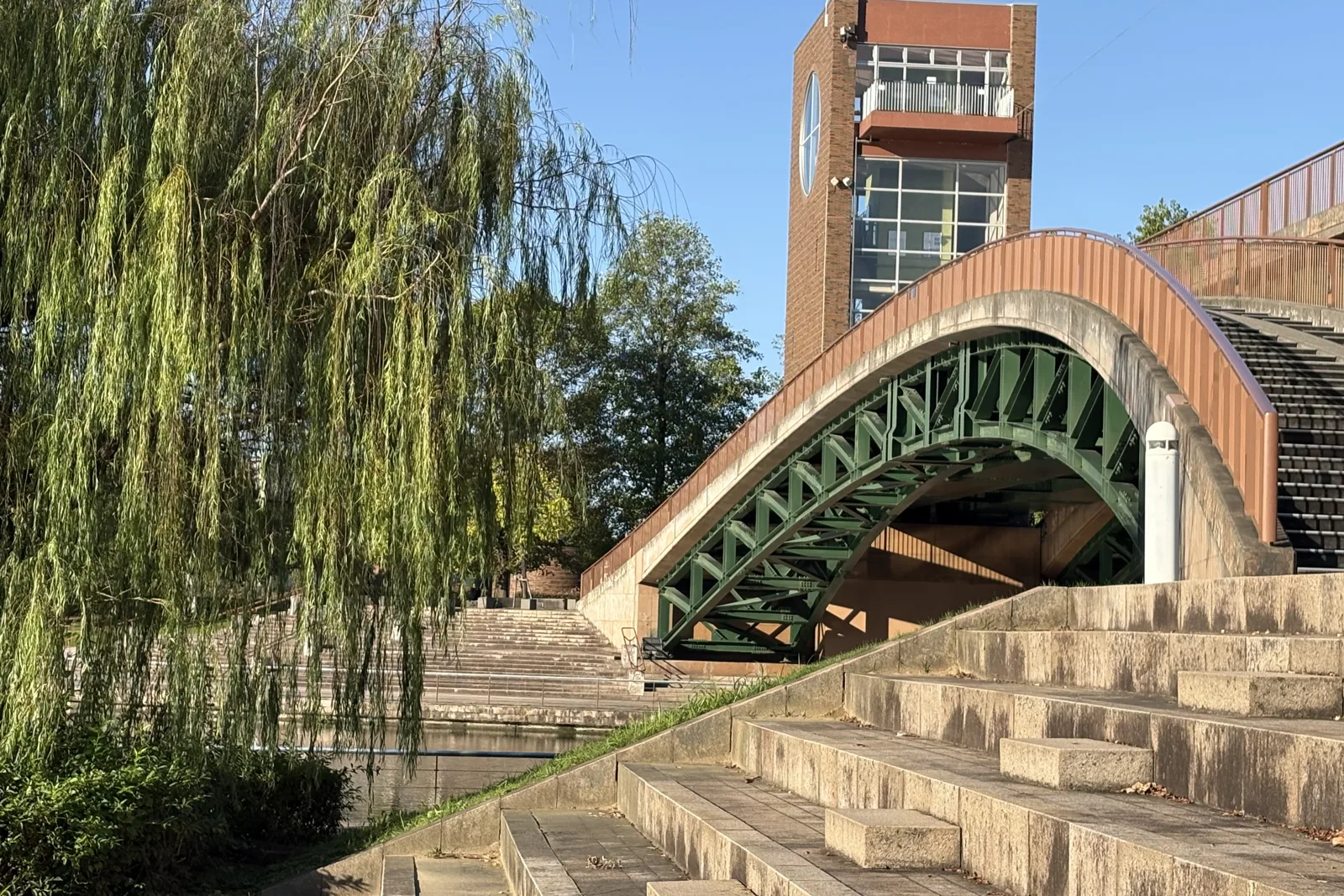 柳の枝越しに見る環水公園の天門橋
