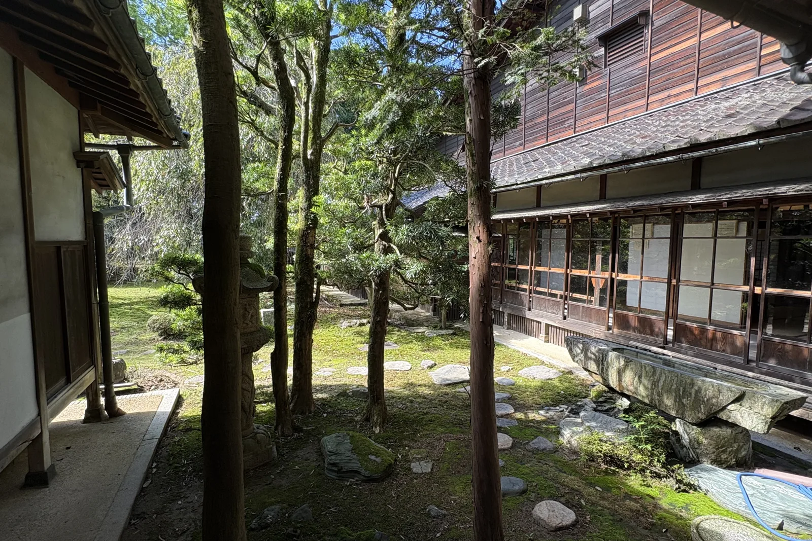 内山邸の庭木と建物