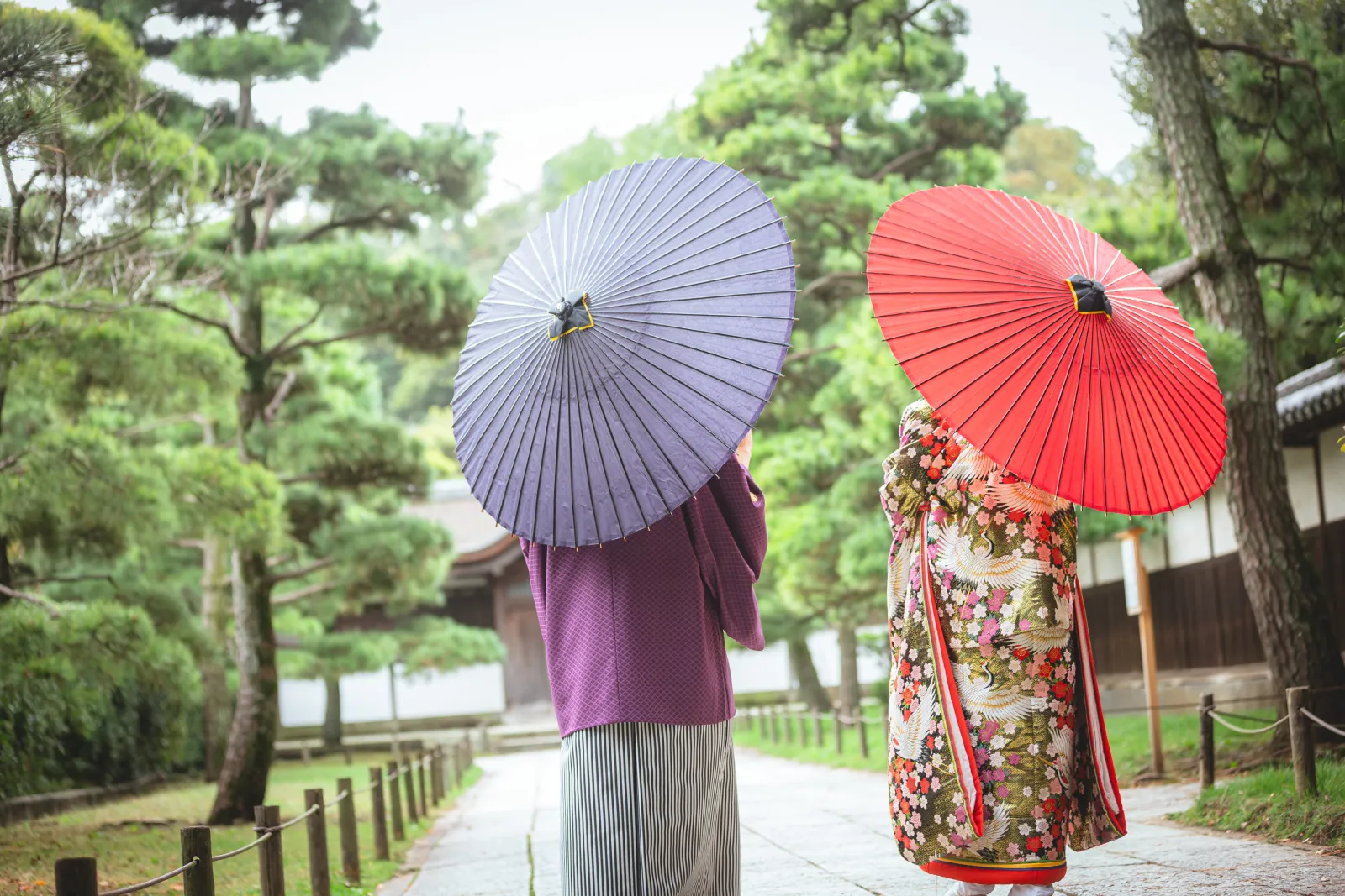 横浜の日本庭園で和傘を差す新郎新婦の後ろ姿、色打掛と紋付袴の和装フォトウェディング
