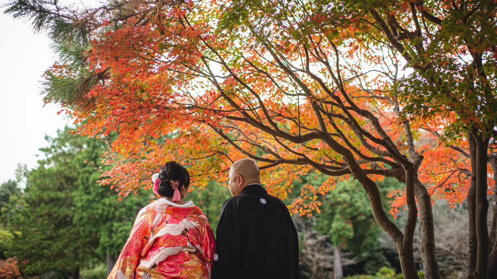 称名寺の色づいたもみじのアーチの下に立つ、鶴柄の色打掛の花嫁と紋付袴の新郎の後ろ姿