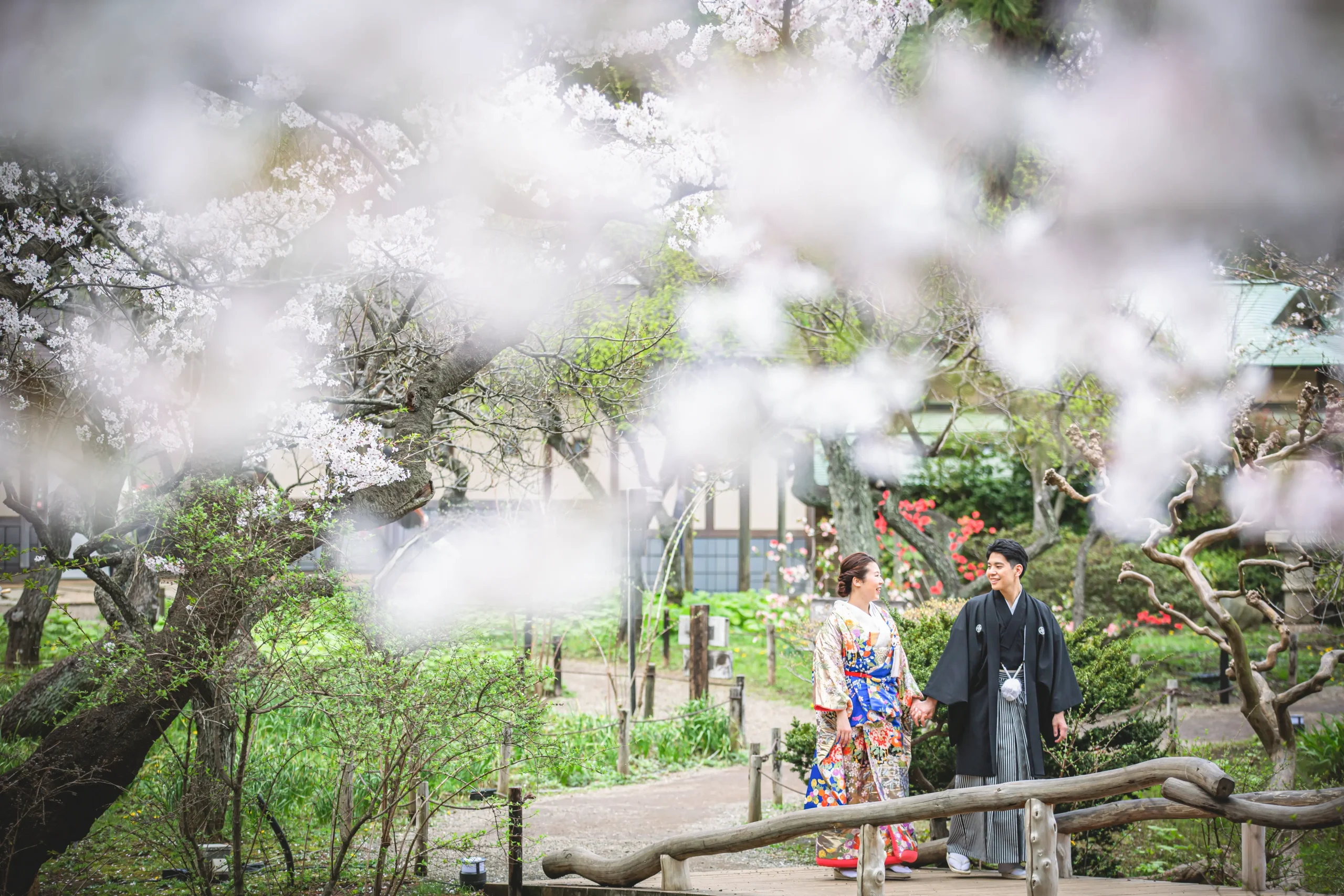横浜の三溪園で桜を背景に和装フォトウェディングを行う新郎新婦