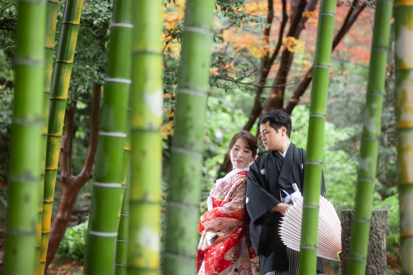 青竹の林の間に寄り添う赤の色打掛の新婦と紋付袴の新郎、奥に色づいた紅葉