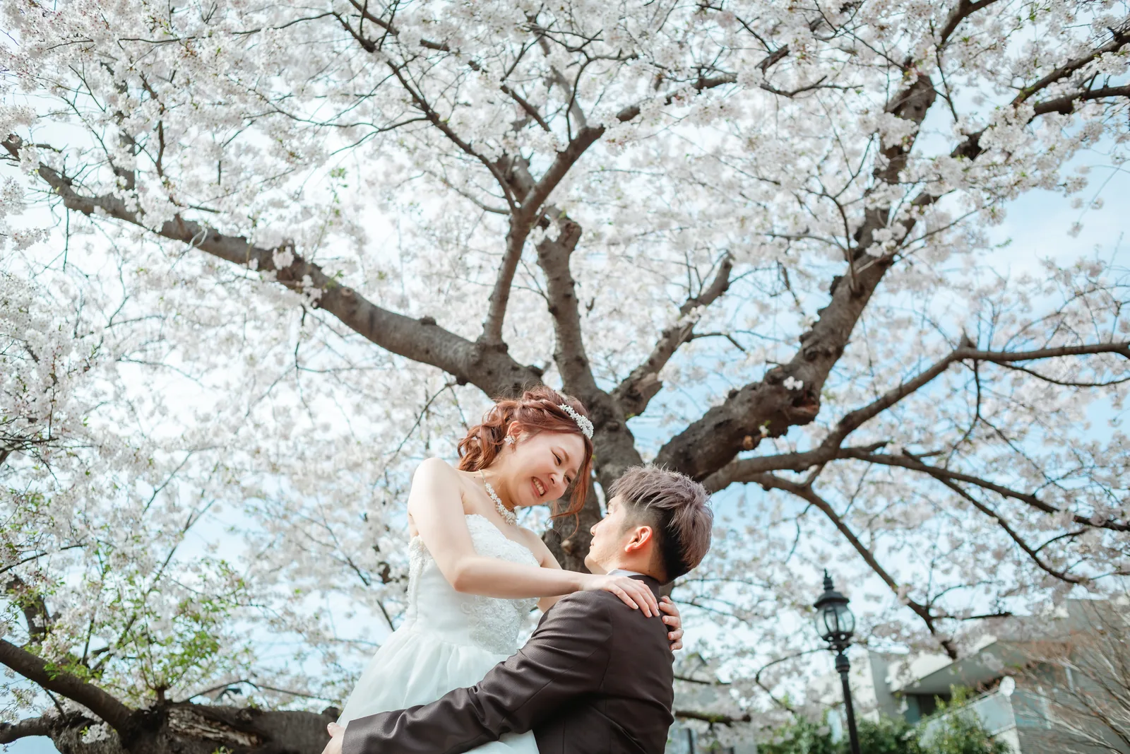 桜の枝の下で寄り添う新郎新婦のフォトウェディング