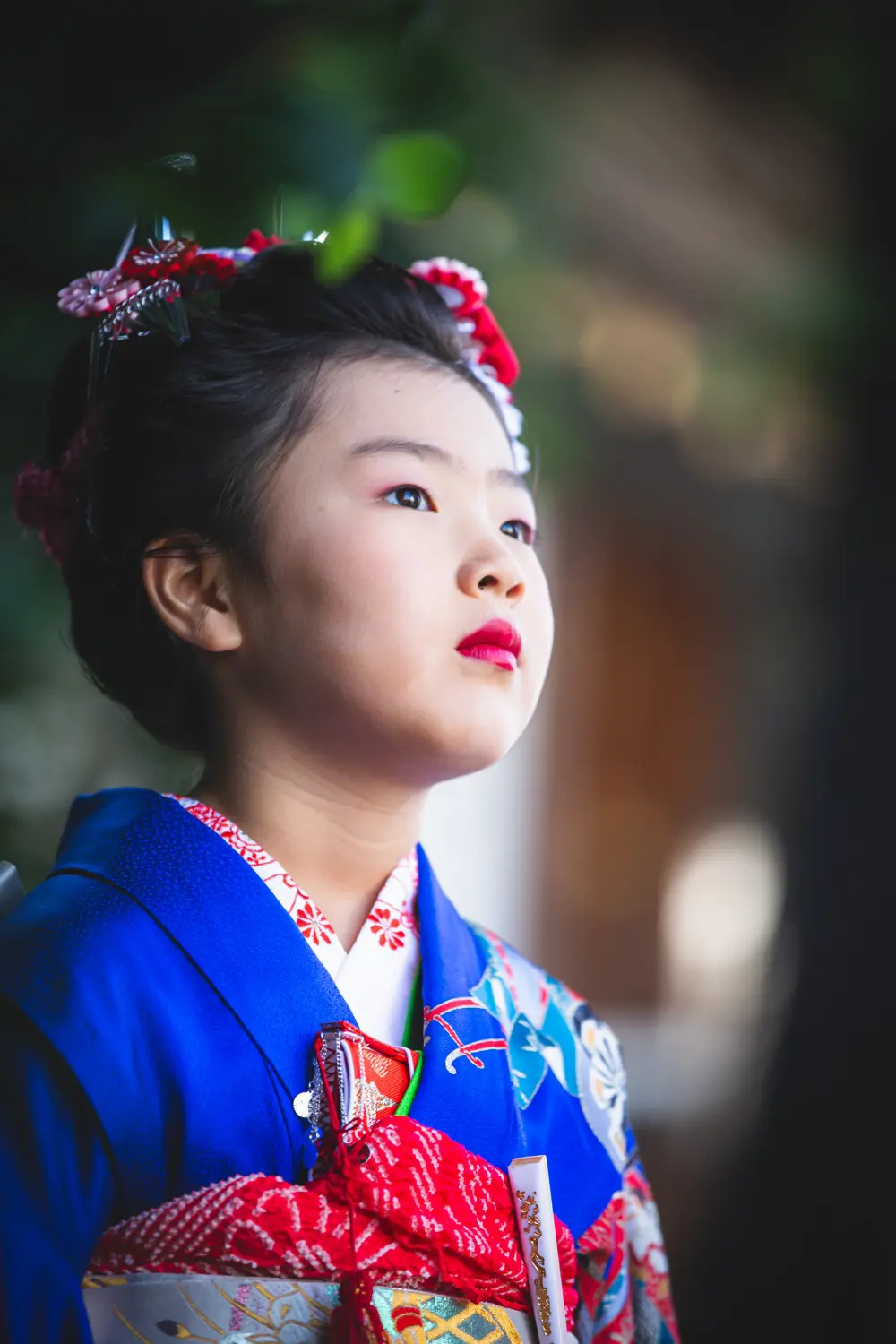 境内で上を見上げる7歳の女の子、四つ身と日本髪風の結い上げの七五三（湯島天神）