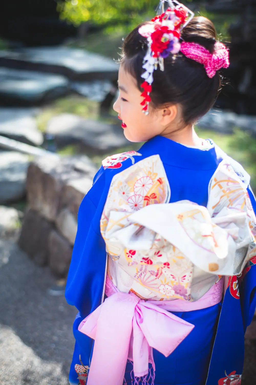 白地に金彩の帯とピンクのしごきを結んだ7歳の女の子の後ろ姿、七五三（湯島天神・東京）