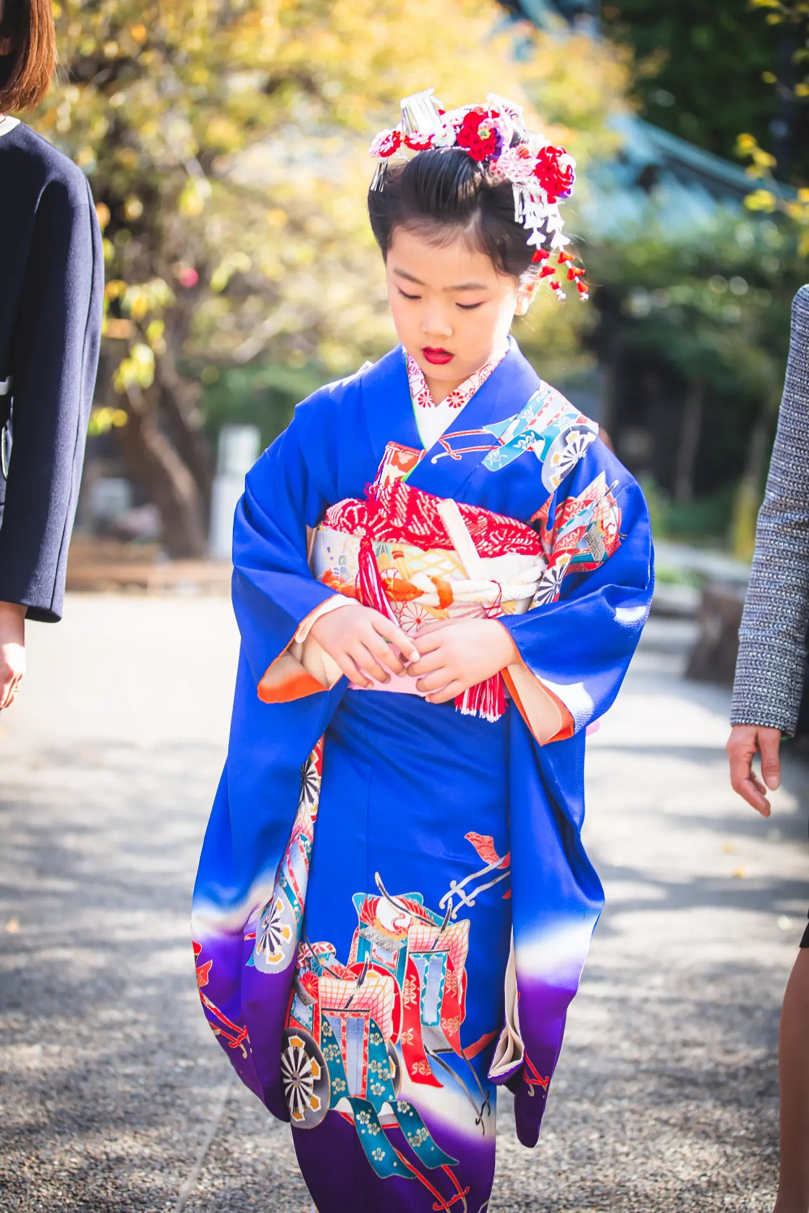 参道を歩く7歳の女の子、ロイヤルブルーの四つ身の七五三（湯島天神・東京）