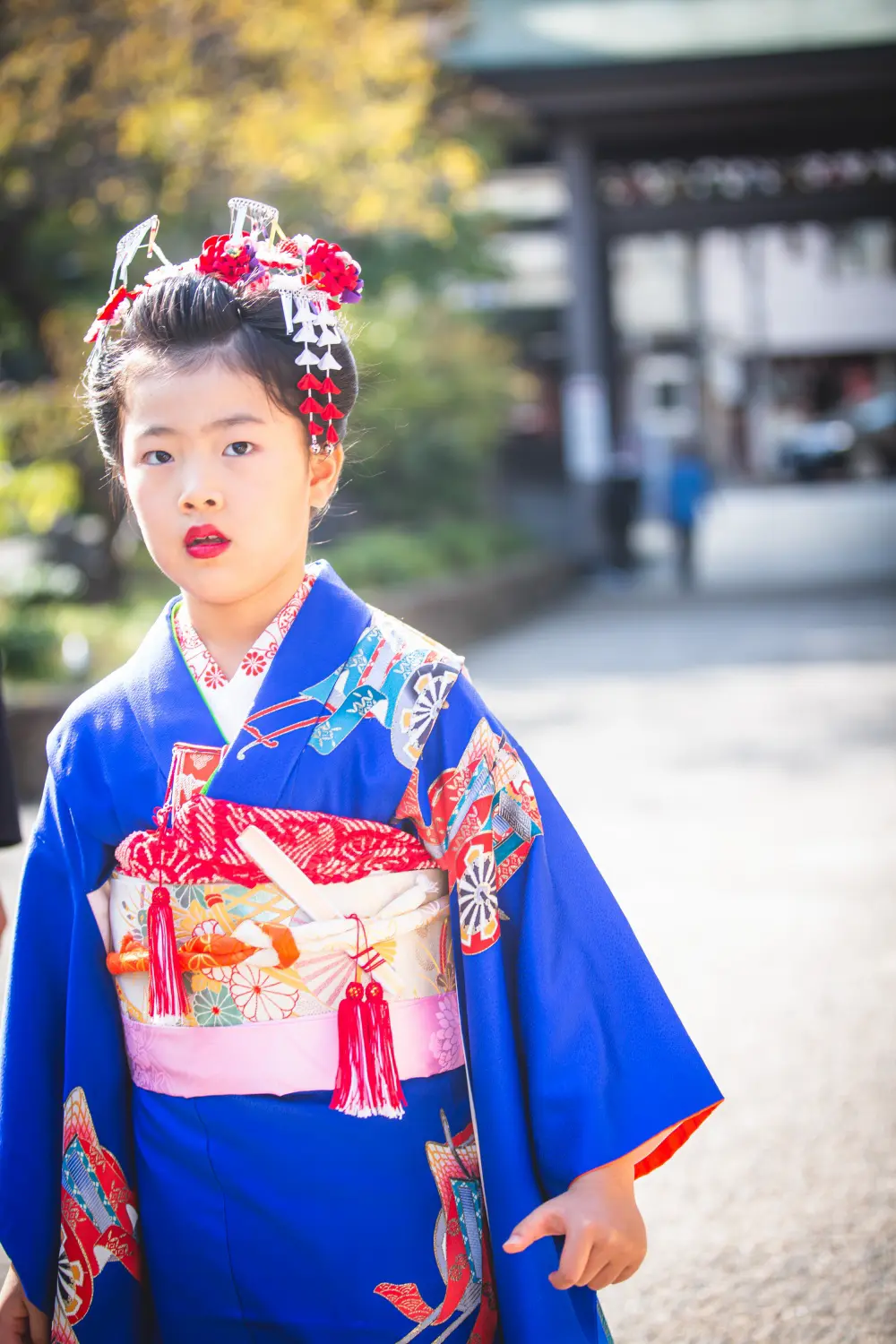 湯島天神の参道に立つ7歳の女の子、ロイヤルブルーの四つ身姿の七五三出張撮影（東京・文京区）